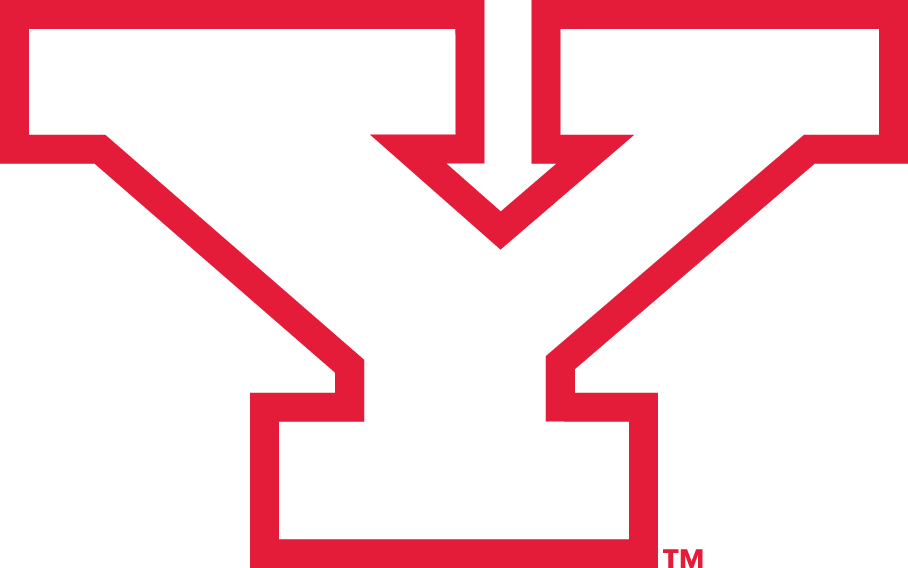 Youngstown State Penguins 1993-Pres Alternate Logo v2 diy DTF decal sticker